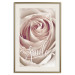 Poster Smile! - light pink rose flower and white English text 116520 additionalThumb 19