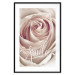 Poster Smile! - light pink rose flower and white English text 116520 additionalThumb 17