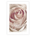 Poster Smile! - light pink rose flower and white English text 116520 additionalThumb 25