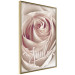 Poster Smile! - light pink rose flower and white English text 116520 additionalThumb 14