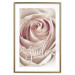 Poster Smile! - light pink rose flower and white English text 116520 additionalThumb 16
