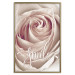 Poster Smile! - light pink rose flower and white English text 116520 additionalThumb 20
