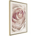 Poster Smile! - light pink rose flower and white English text 116520 additionalThumb 2