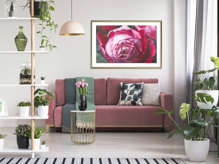 Poster Rose Geometry - composition with intense-colored rose petals 117220 additionalImage 15