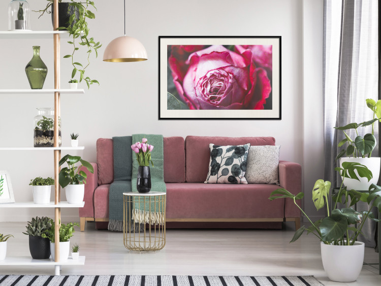 Poster Rose Geometry - composition with intense-colored rose petals 117220 additionalImage 22