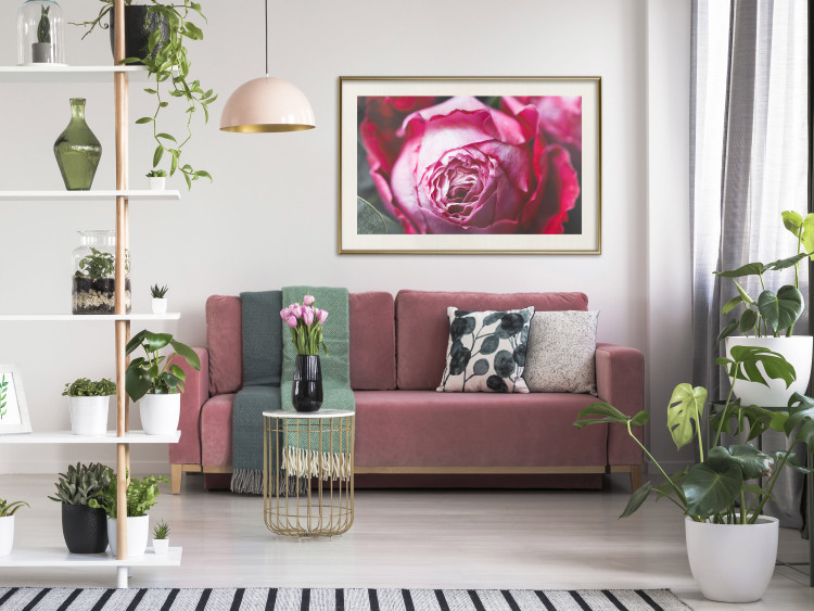 Poster Rose Geometry - composition with intense-colored rose petals 117220 additionalImage 21