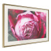 Poster Rose Geometry - composition with intense-colored rose petals 117220 additionalThumb 2