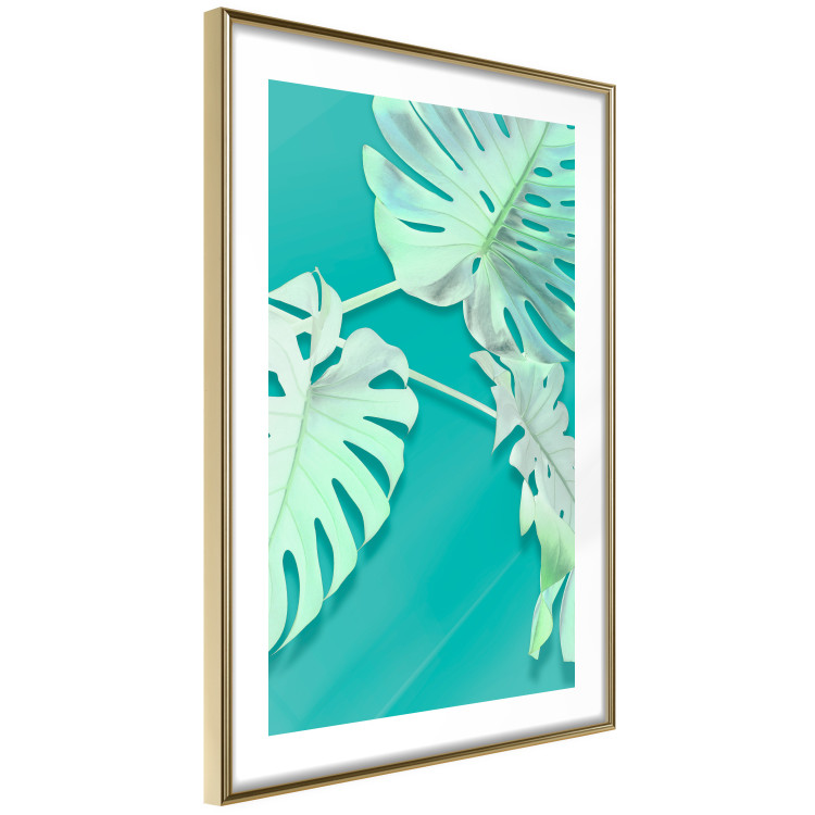 Poster Mint Monstera - green monstera leaves on a mint-colored background 122620 additionalImage 5
