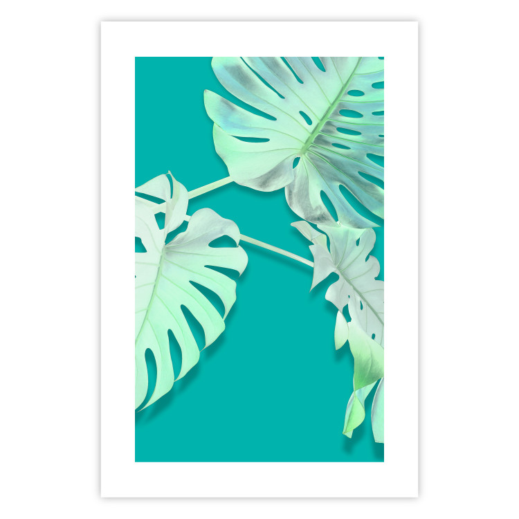 Poster Mint Monstera - green monstera leaves on a mint-colored background 122620 additionalImage 24