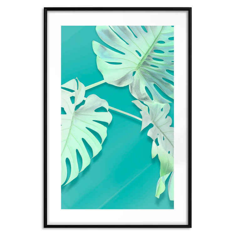 Poster Mint Monstera - green monstera leaves on a mint-colored background 122620 additionalImage 14