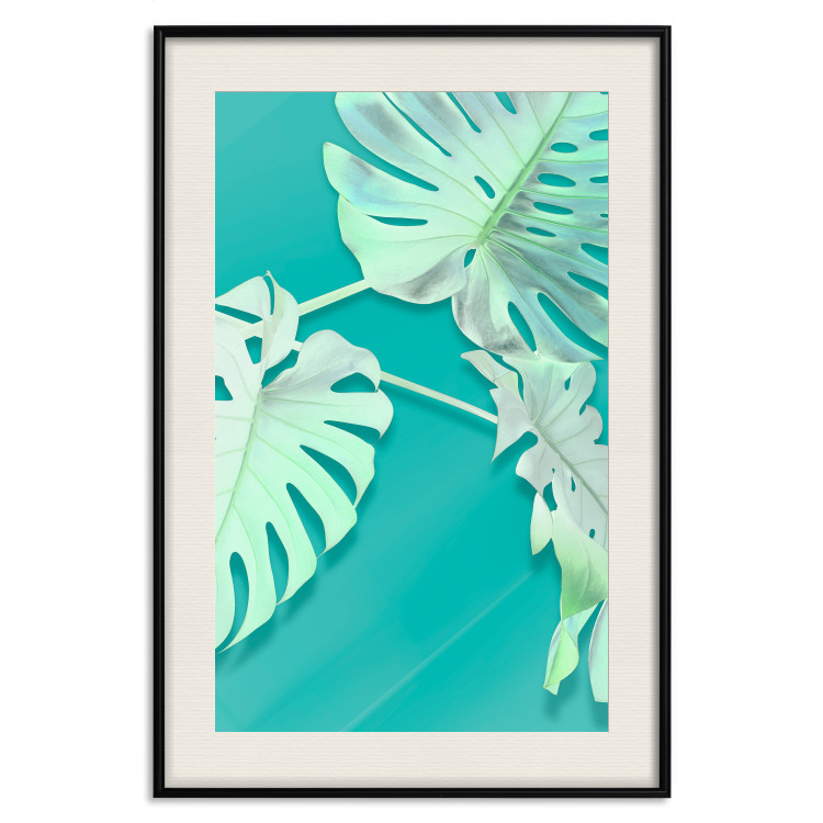 Poster Mint Monstera - green monstera leaves on a mint-colored background 122620 additionalImage 19