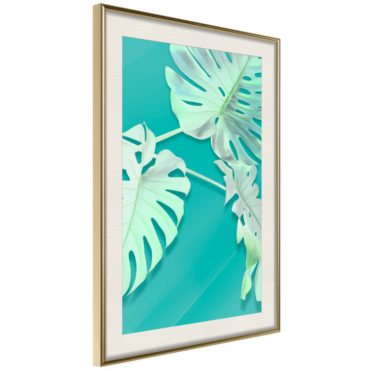 Poster Mint Monstera - green monstera leaves on a mint-colored background 122620 additionalImage 2