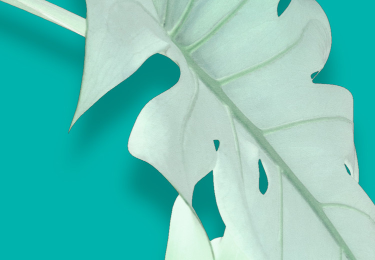 Poster Mint Monstera - green monstera leaves on a mint-colored background 122620 additionalImage 7