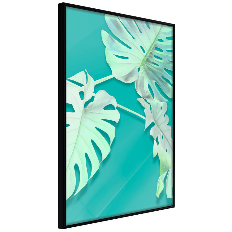 Poster Mint Monstera - green monstera leaves on a mint-colored background 122620 additionalImage 9