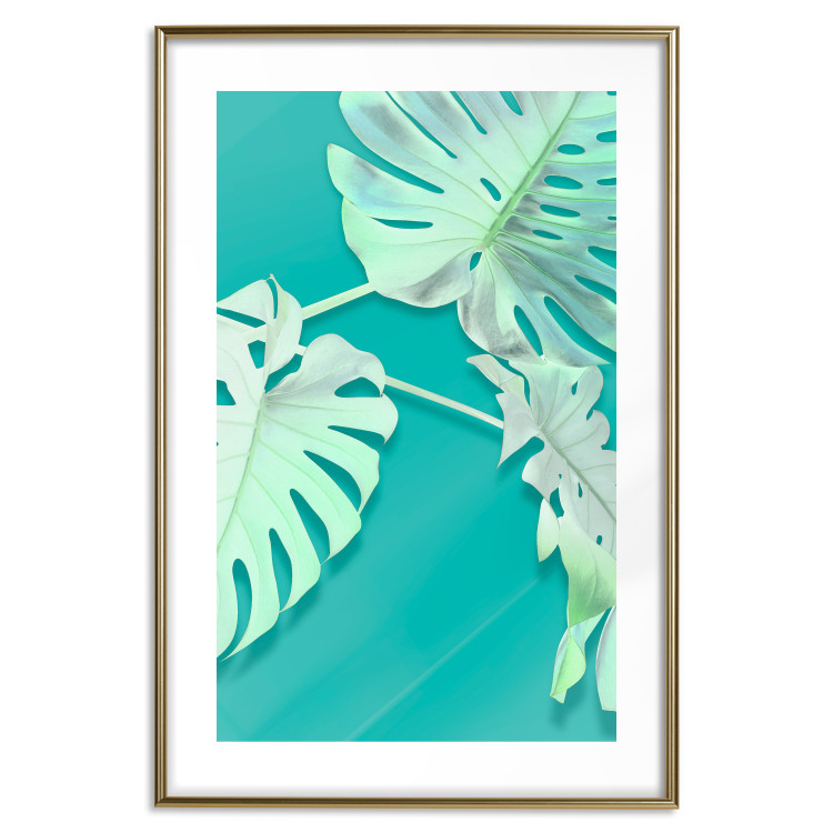 Poster Mint Monstera - green monstera leaves on a mint-colored background 122620 additionalImage 13
