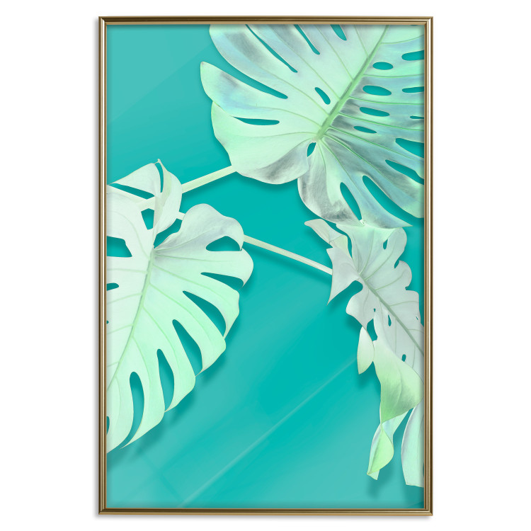 Poster Mint Monstera - green monstera leaves on a mint-colored background 122620 additionalImage 17