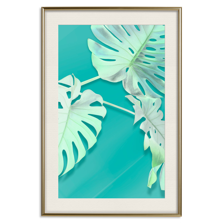 Poster Mint Monstera - green monstera leaves on a mint-colored background 122620 additionalImage 18