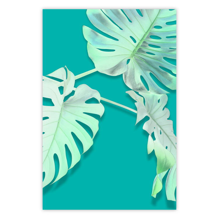 Poster Mint Monstera - green monstera leaves on a mint-colored background 122620