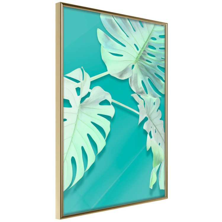 Poster Mint Monstera - green monstera leaves on a mint-colored background 122620 additionalImage 13