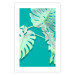 Poster Mint Monstera - green monstera leaves on a mint-colored background 122620 additionalThumb 24