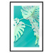 Poster Mint Monstera - green monstera leaves on a mint-colored background 122620 additionalThumb 14