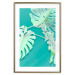 Poster Mint Monstera - green monstera leaves on a mint-colored background 122620 additionalThumb 13