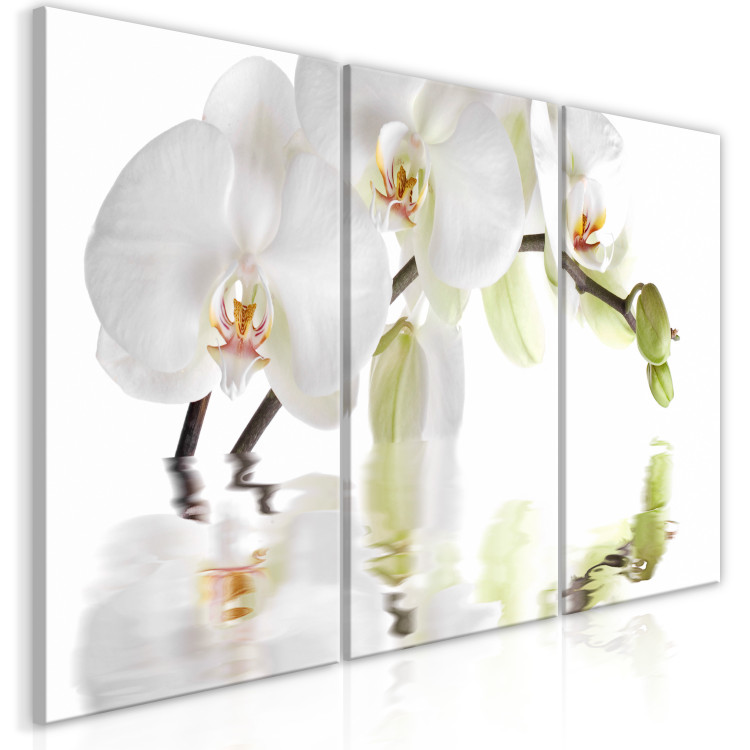 Canvas Water Orchid (3-part) - Flower Branch in White Natural Shade 123420 additionalImage 2