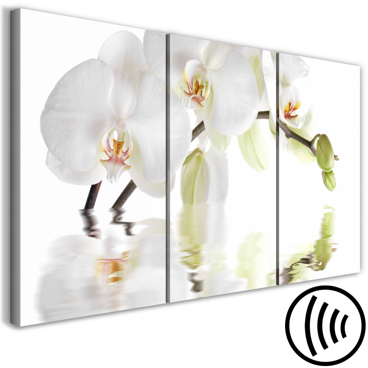 Canvas Water Orchid (3-part) - Flower Branch in White Natural Shade 123420 additionalImage 6