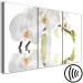 Canvas Water Orchid (3-part) - Flower Branch in White Natural Shade 123420 additionalThumb 6