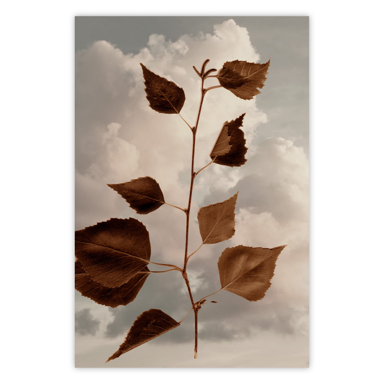 Poster September - plant with brown leaves against sky and clouds in sepia 123620