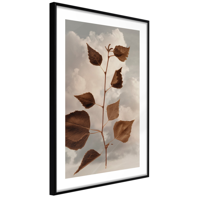 Poster September - plant with brown leaves against sky and clouds in sepia 123620 additionalImage 11