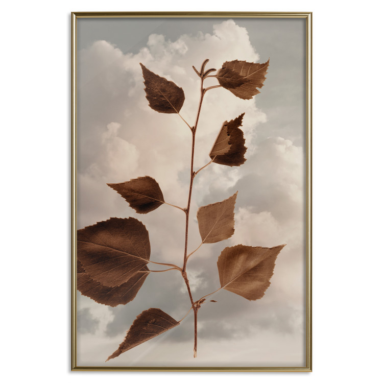 Poster September - plant with brown leaves against sky and clouds in sepia 123620 additionalImage 16