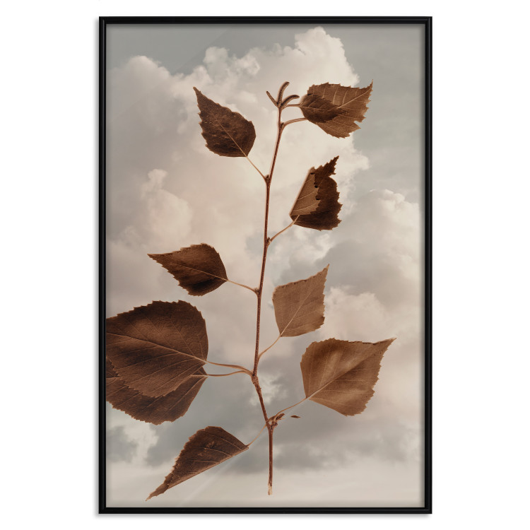 Poster September - plant with brown leaves against sky and clouds in sepia 123620 additionalImage 18