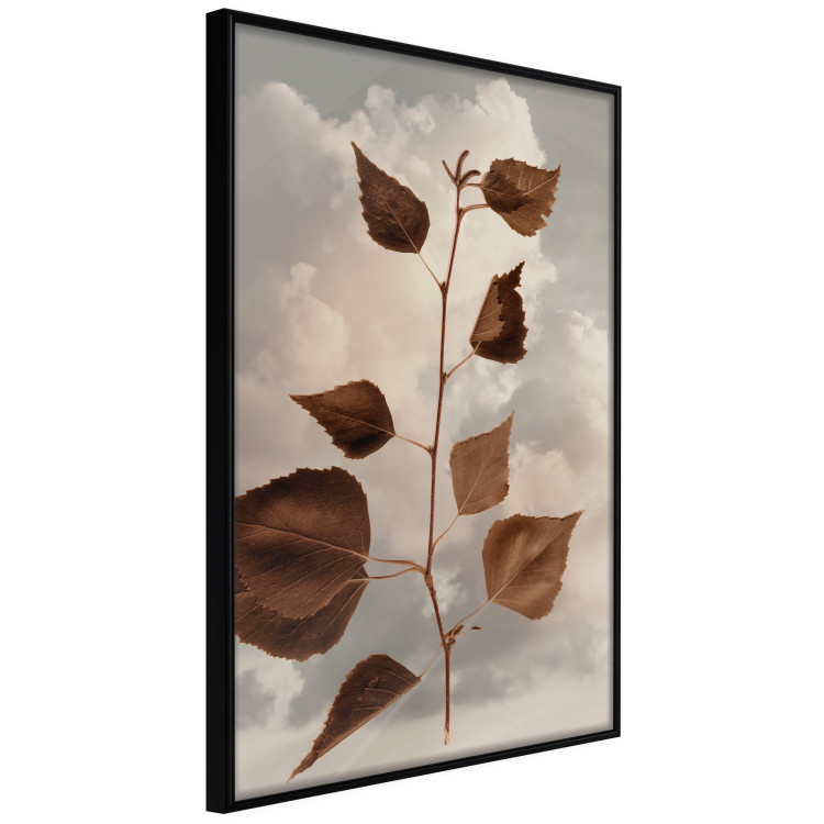 Poster September - plant with brown leaves against sky and clouds in sepia 123620 additionalImage 10