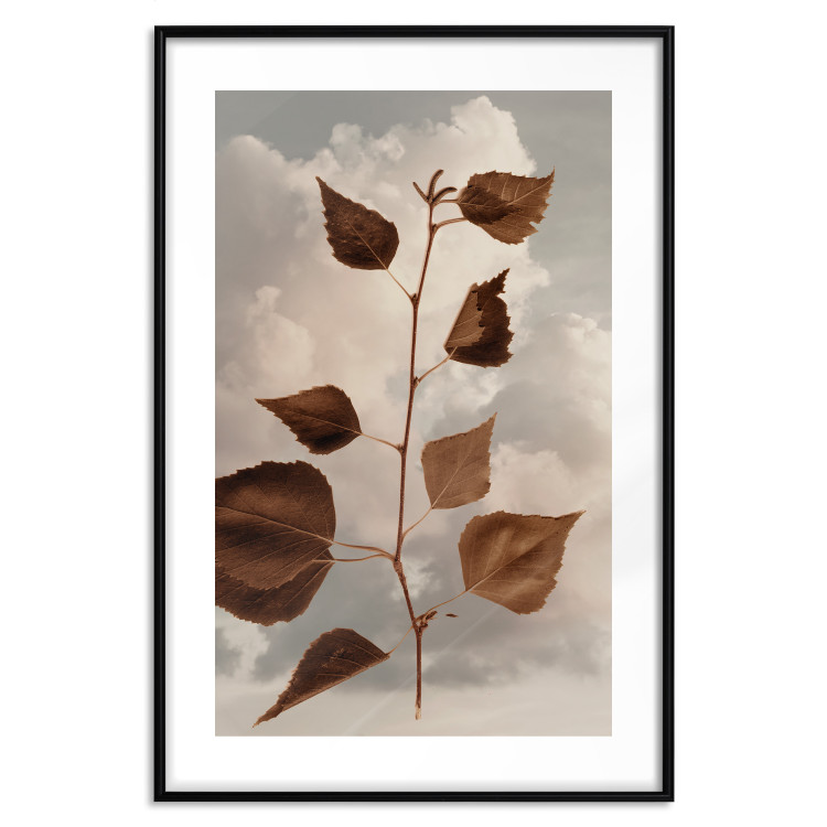 Poster September - plant with brown leaves against sky and clouds in sepia 123620 additionalImage 15