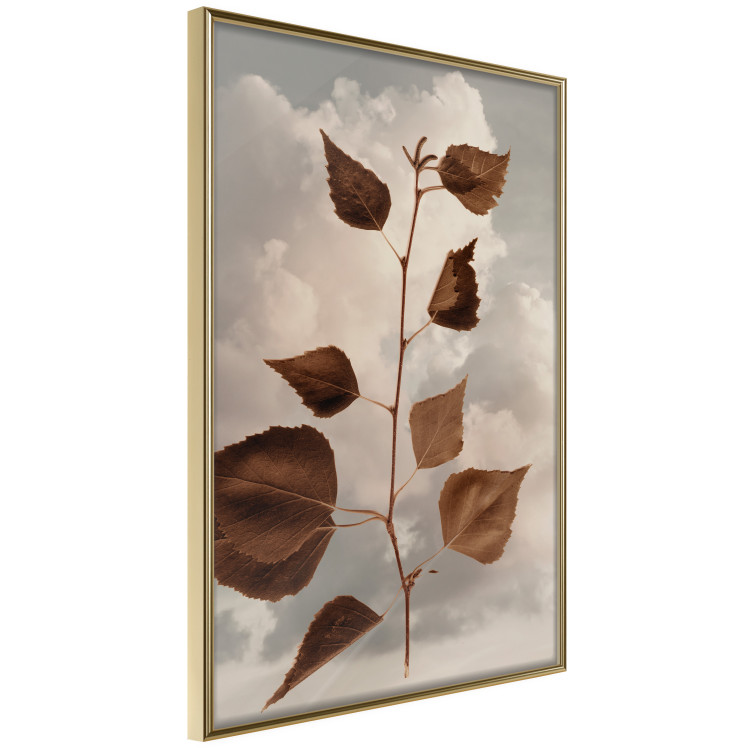 Poster September - plant with brown leaves against sky and clouds in sepia 123620 additionalImage 12
