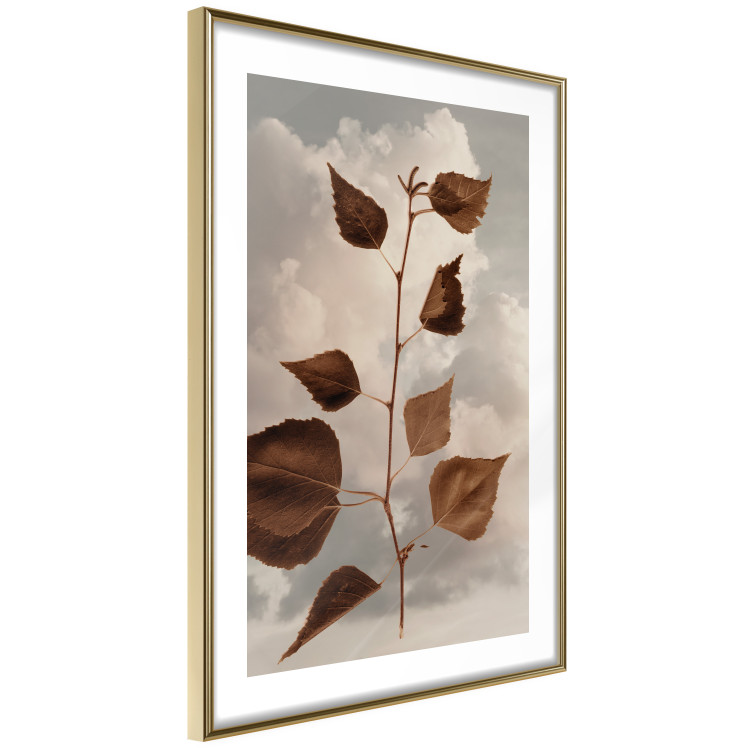 Poster September - plant with brown leaves against sky and clouds in sepia 123620 additionalImage 6
