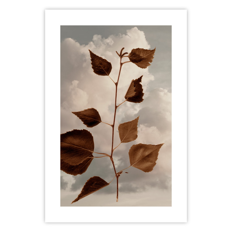 Poster September - plant with brown leaves against sky and clouds in sepia 123620 additionalImage 19