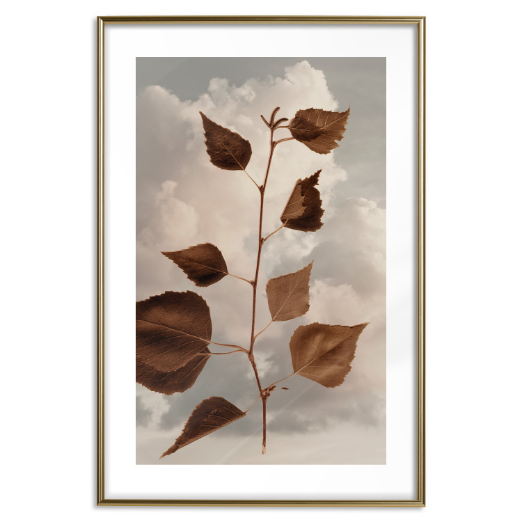 Poster September - plant with brown leaves against sky and clouds in sepia 123620 additionalImage 14