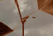 Poster September - plant with brown leaves against sky and clouds in sepia 123620 additionalThumb 8