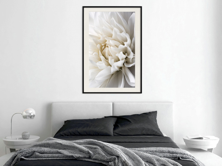 Wall Poster White Dahlia - velvety white flower of the plant with a romantic character 125720 additionalImage 22