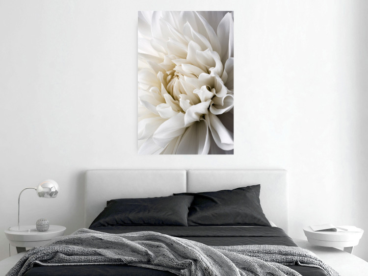Wall Poster White Dahlia - velvety white flower of the plant with a romantic character 125720 additionalImage 23