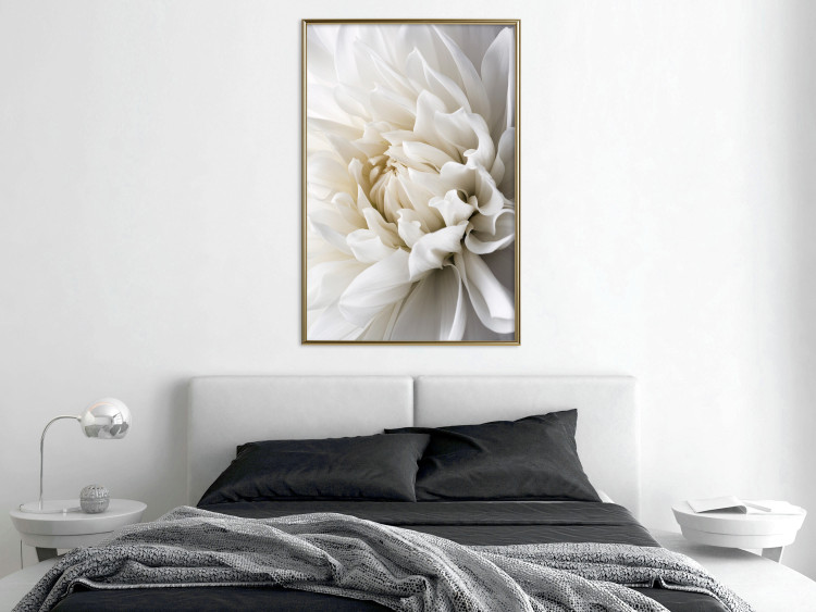 Wall Poster White Dahlia - velvety white flower of the plant with a romantic character 125720 additionalImage 7
