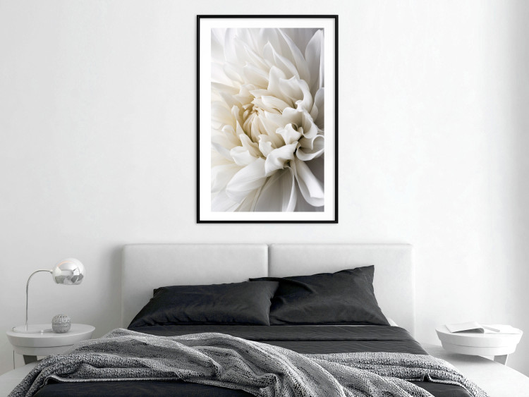 Wall Poster White Dahlia - velvety white flower of the plant with a romantic character 125720 additionalImage 6