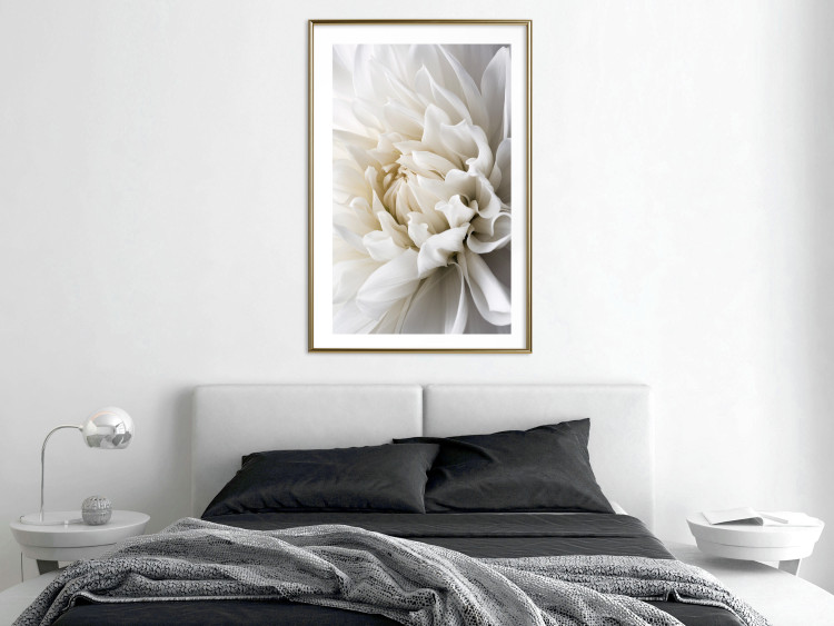 Wall Poster White Dahlia - velvety white flower of the plant with a romantic character 125720 additionalImage 15