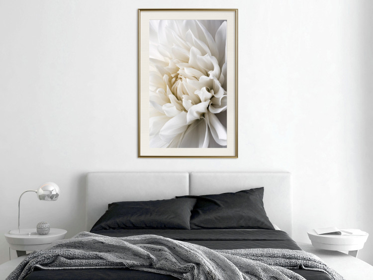 Wall Poster White Dahlia - velvety white flower of the plant with a romantic character 125720 additionalImage 21