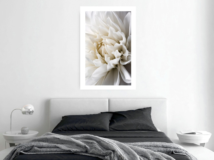 Wall Poster White Dahlia - velvety white flower of the plant with a romantic character 125720 additionalImage 4