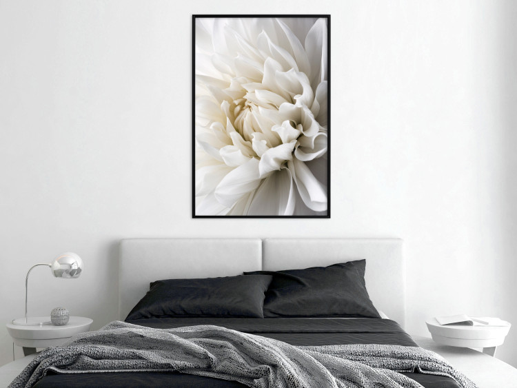 Wall Poster White Dahlia - velvety white flower of the plant with a romantic character 125720 additionalImage 3