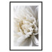 Wall Poster White Dahlia - velvety white flower of the plant with a romantic character 125720 additionalThumb 15