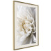Wall Poster White Dahlia - velvety white flower of the plant with a romantic character 125720 additionalThumb 2
